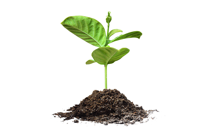 agroindustria