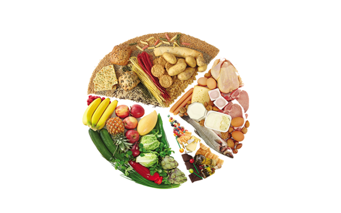 alimentos y bebidas